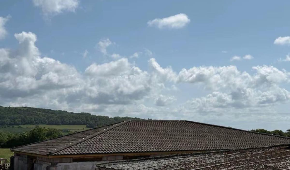 A finished hipped tile roof on a farm building with older weathered sheeting on the neighbouring roof