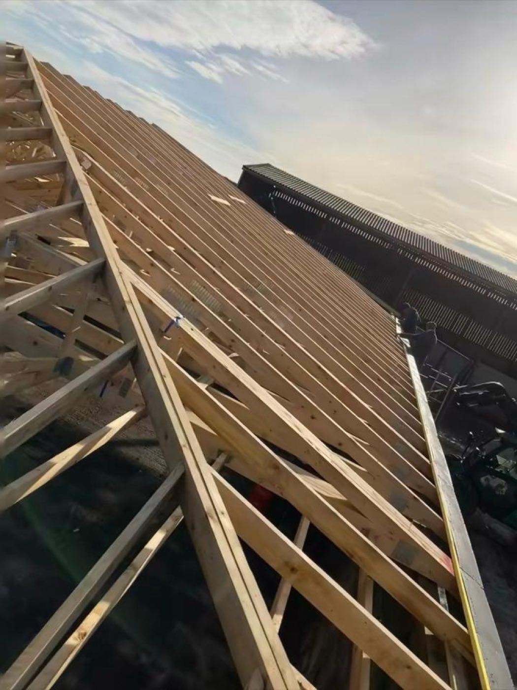 New timber roof rafters and bracing erected against a blue sky